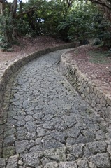 DSCF1647