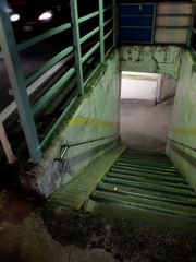 DSCF0618 (2)
