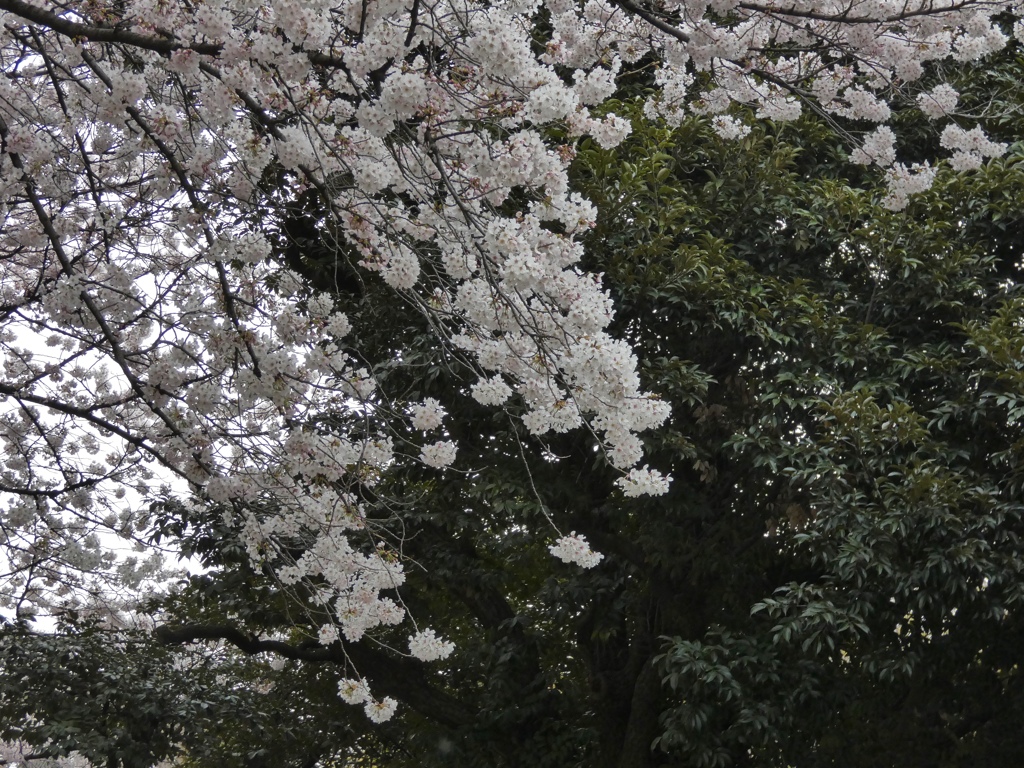 fullsizeoutput_83f0