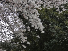 fullsizeoutput_83f0