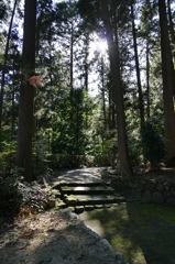 京都