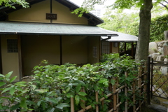 P1010425