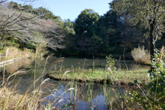 P1030299