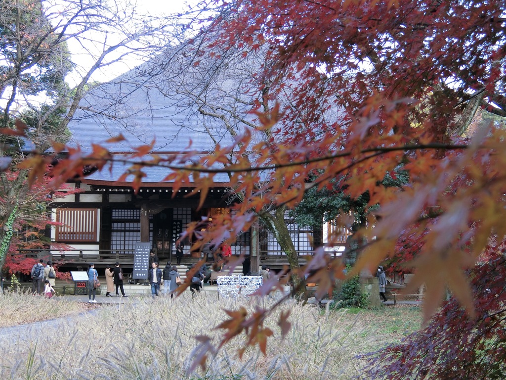 CIMG0180