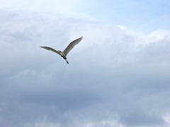 P1010628