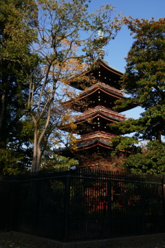 P1030222