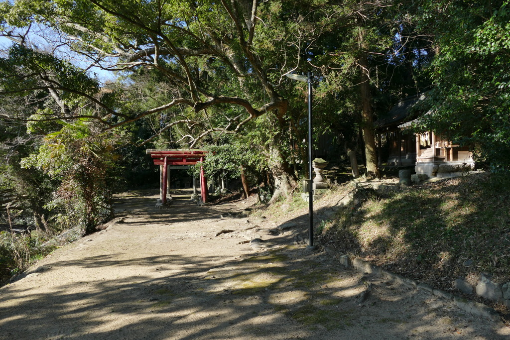 P1030718