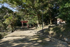 P1030718