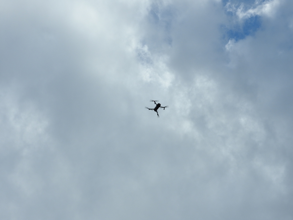 DSCN0561