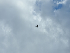 DSCN0561