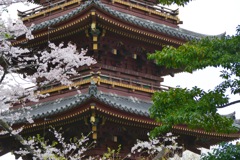 P1030353