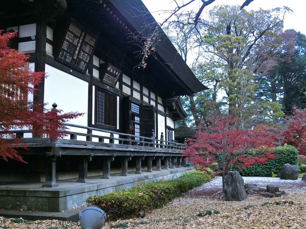 CIMG0247
