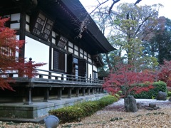 CIMG0247