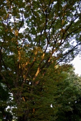 fullsizeoutput_98f5