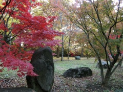 CIMG0084