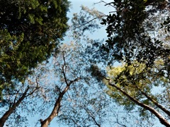 DSCF1357