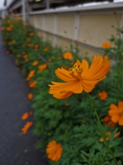 IMGP0174