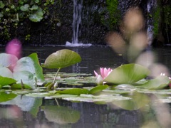 DSCN0138