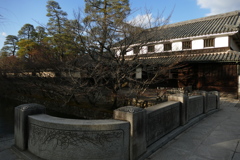 P1030592