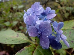 PB022793