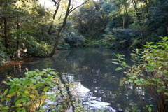 P1030332