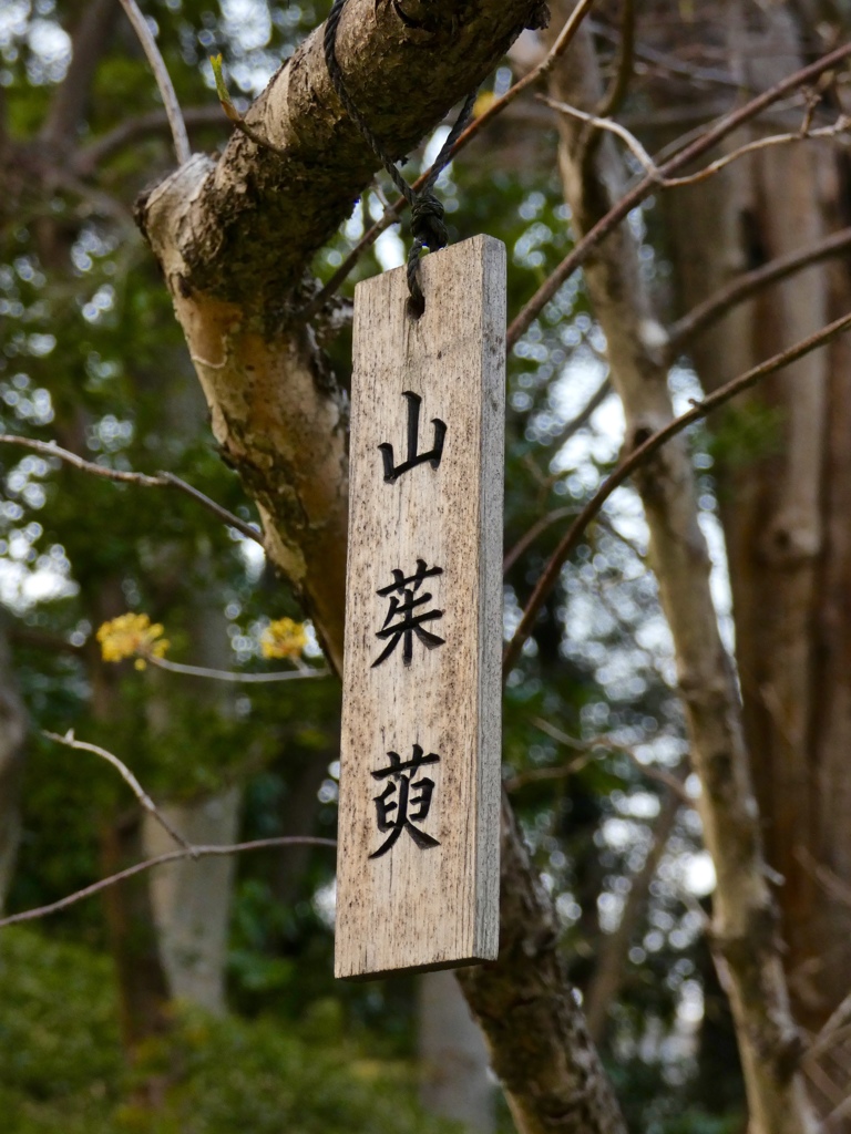 fullsizeoutput_8277