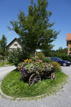 P1000410