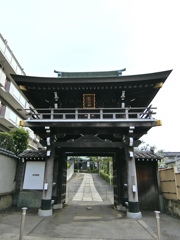 fullsizeoutput_8780