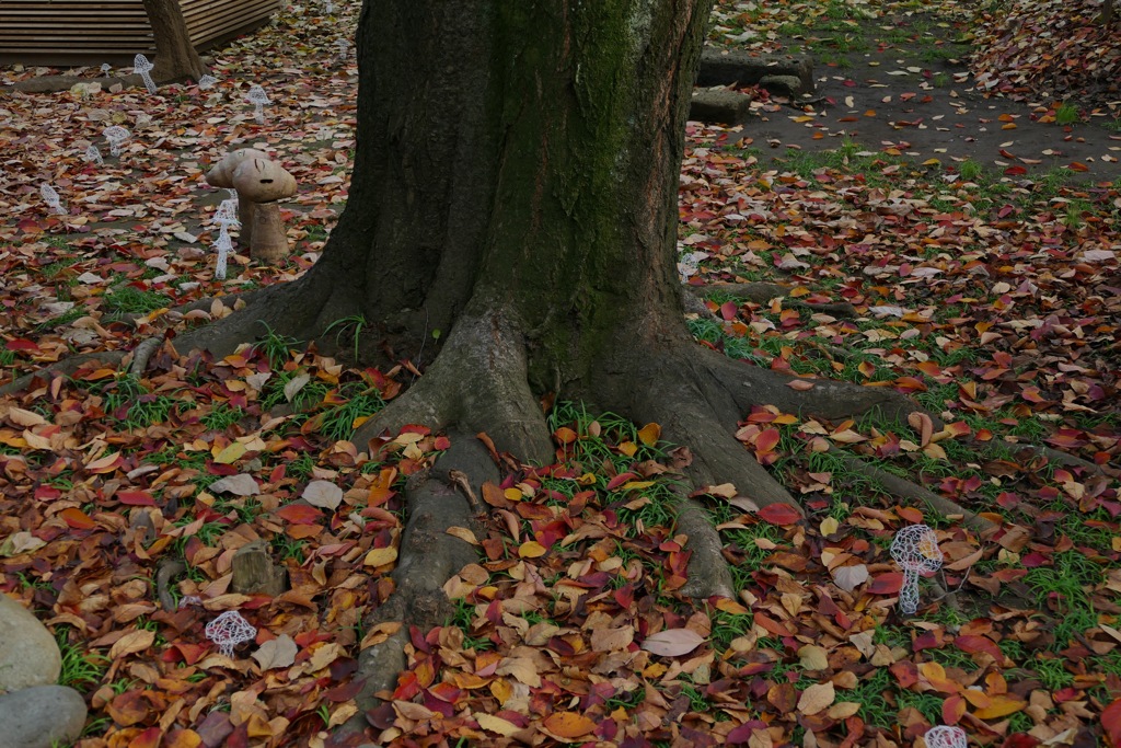 P1010924