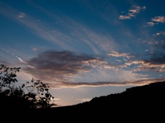 DSCF1376