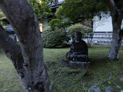 DSCF2950
