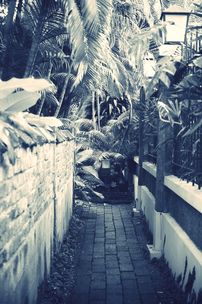 IMG_1487effected2