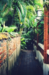 IMG_1484effected2