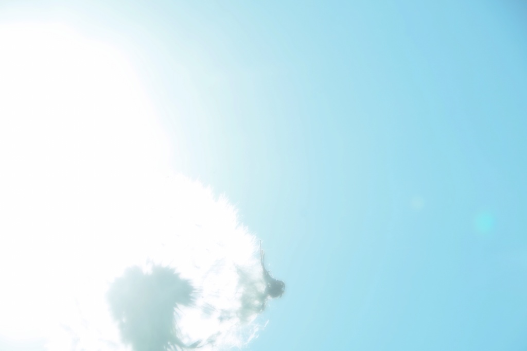 melt into sky