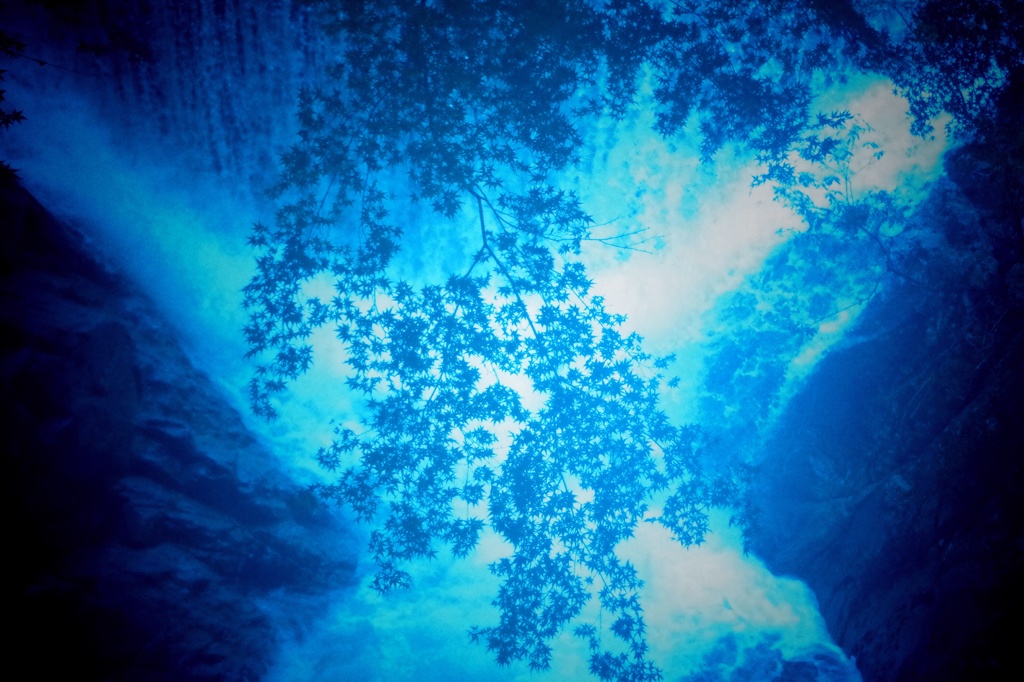 Blue Shower