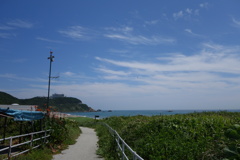 伊良湖岬01