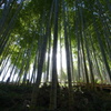 那智大瀧04