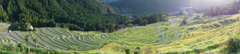 丸山千枚田01
