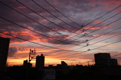 夕日01
