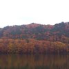 紅葉01