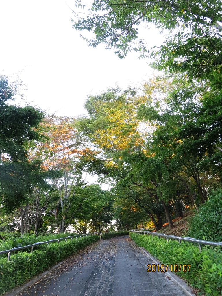 風の公園