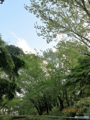 風の公園