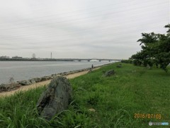 荒川放水路