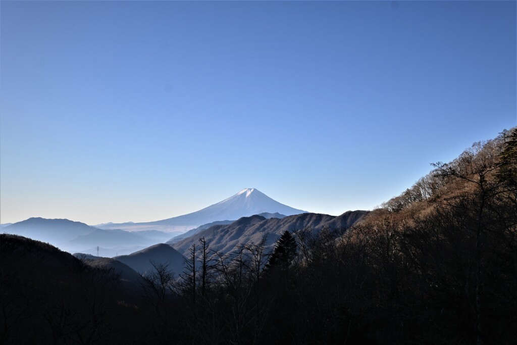 富士の山