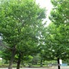 猿江恩賜公園