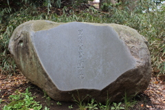 心字池