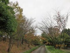 風の公園