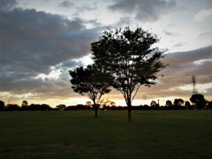 公園