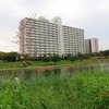 朝練