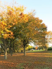 風の公園